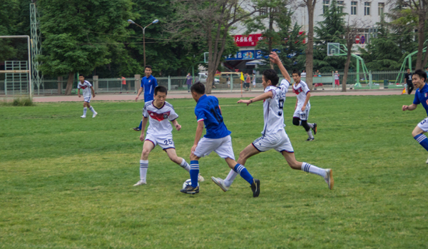 如果不能在 如果不能在