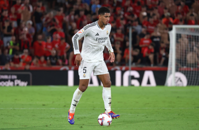 他们有望在 他们有望在