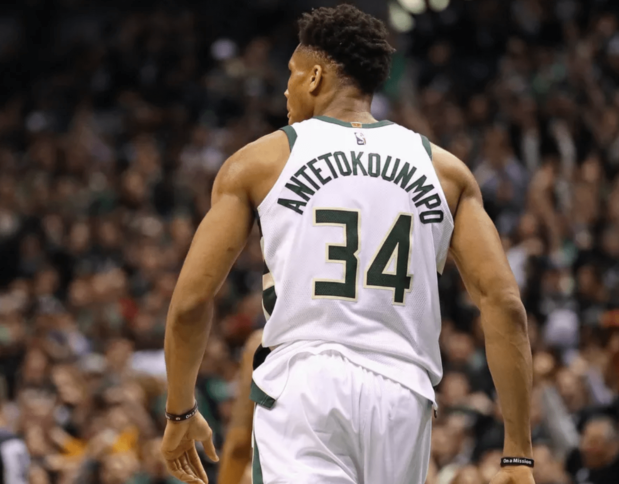 舍泽强调赛 舍泽强调赛