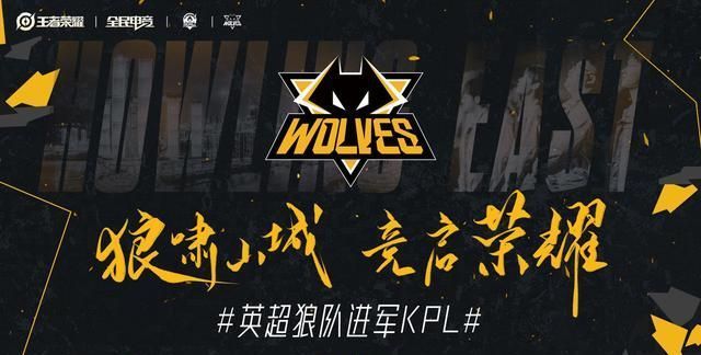 情绪与纪律